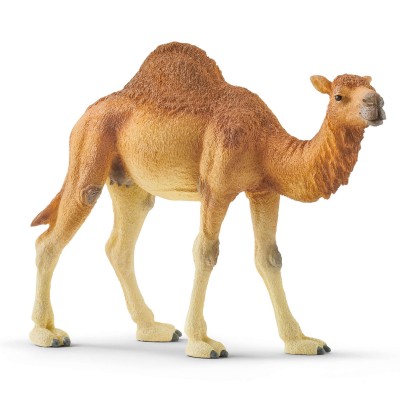 Dromeradario Schleich