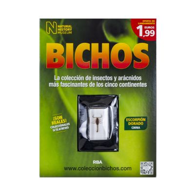 Bichos 2024 - No 4